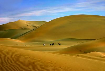 中国首部沙漠探险摄影艺术作品集